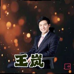 王岚